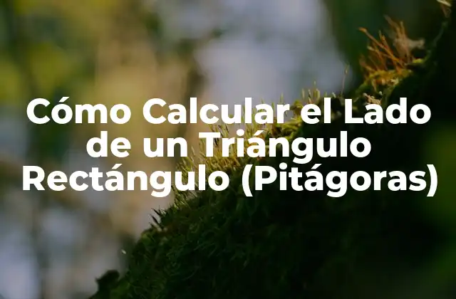 Cómo Calcular el Lado de un Triángulo Rectángulo (pitágoras)