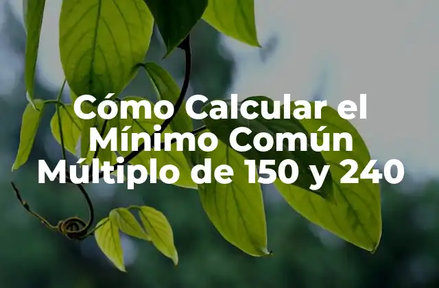 Cómo Calcular el Mínimo Común Múltiplo de 150 y 240