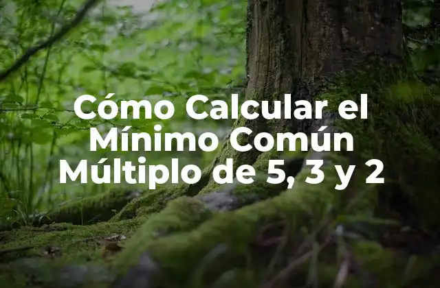 Cómo Calcular el Mínimo Común Múltiplo de 5, 3 y 2