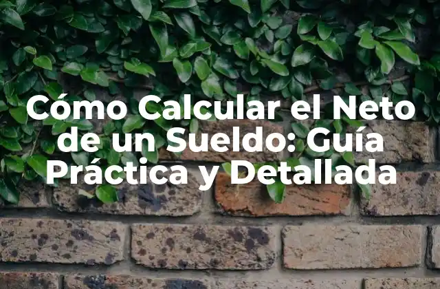 Cómo Calcular el Neto de un Sueldo: Guía Práctica y Detallada