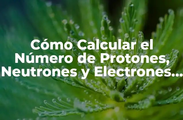 Cómo Calcular el Número de Protones, Neutrones y Electrones en un Átomo 2 ¿Qué son los Protones, Neutrones y Electrones?