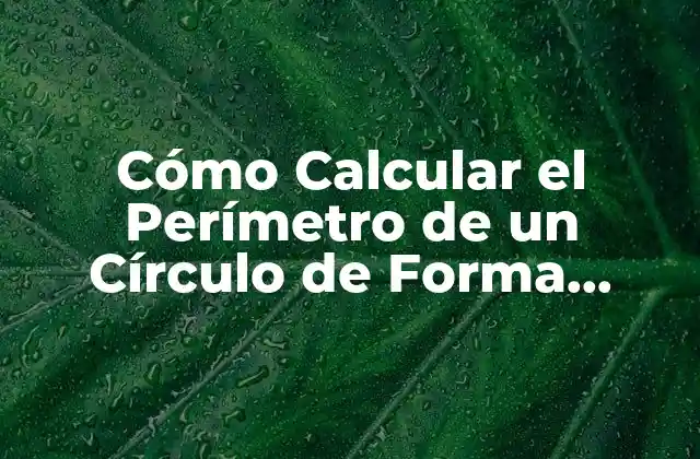 La Fórmula para Calcular el Perímetro de un Círculo