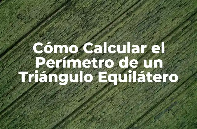 Cómo Calcular el Perímetro de un Triángulo Equilátero