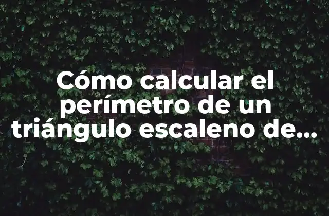 Cómo Calcular el Perímetro de un Triángulo Escaleno de Manera Efectiva