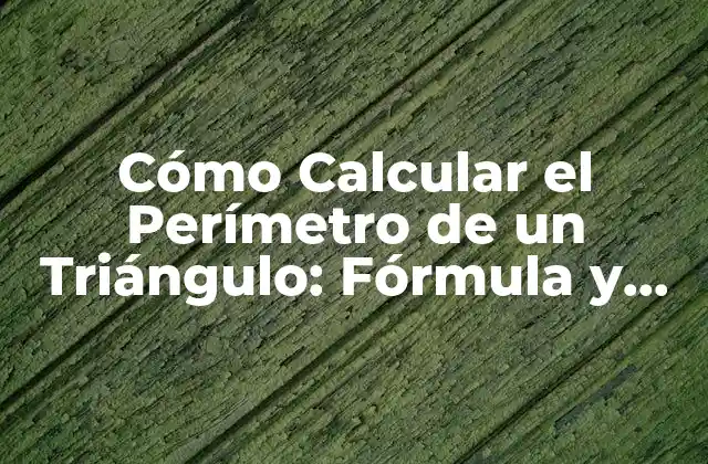 Fórmula para Calcular el Perímetro de un Triángulo