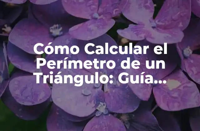 Cómo Calcular el Perímetro de un Triángulo: Guía Completa y Detallada