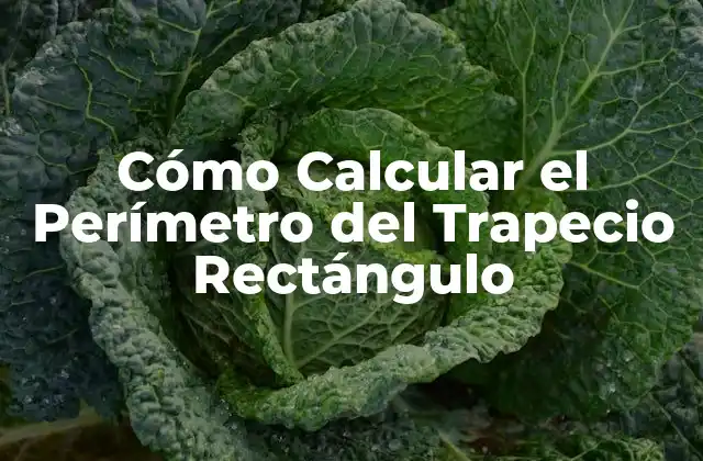 Definición del Trapecio Rectángulo