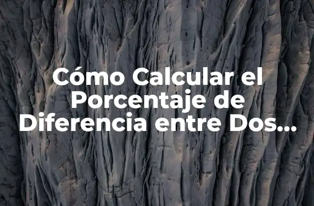 Cómo Calcular el Porcentaje de Diferencia entre Dos Cantidades en Excel