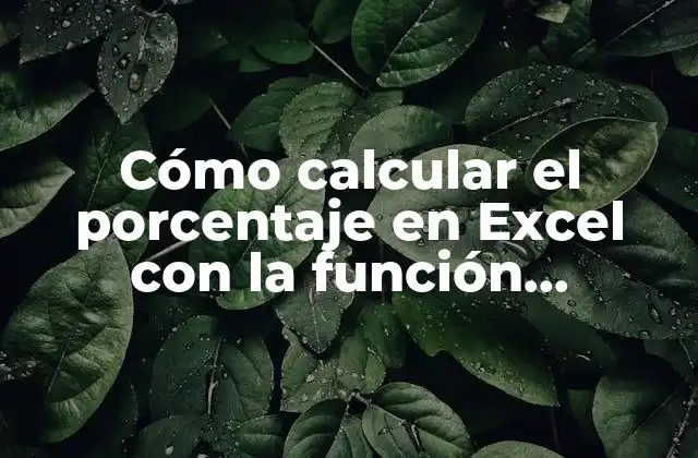 Cómo Calcular el Porcentaje en Excel con la Función Porcentaje