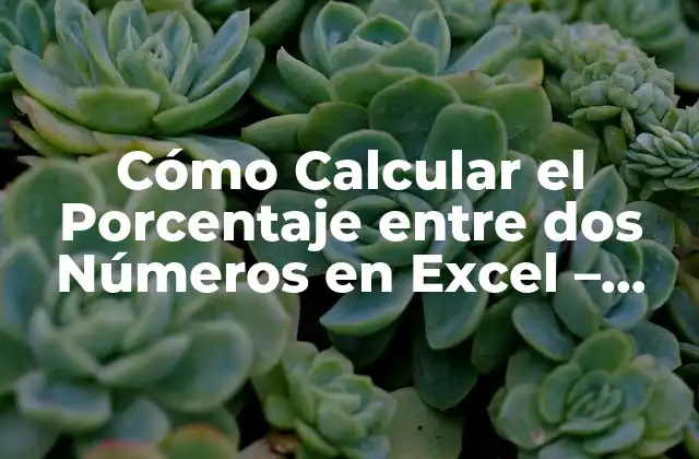 ¿Qué es un Porcentaje y Cómo se Calcula?