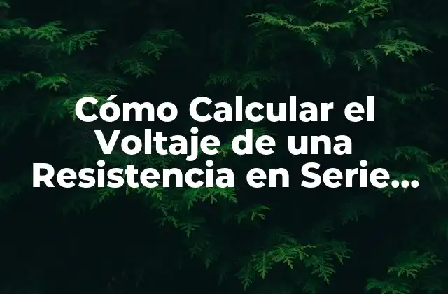 Cómo Calcular el Voltaje de una Resistencia en Serie (guía Completa)