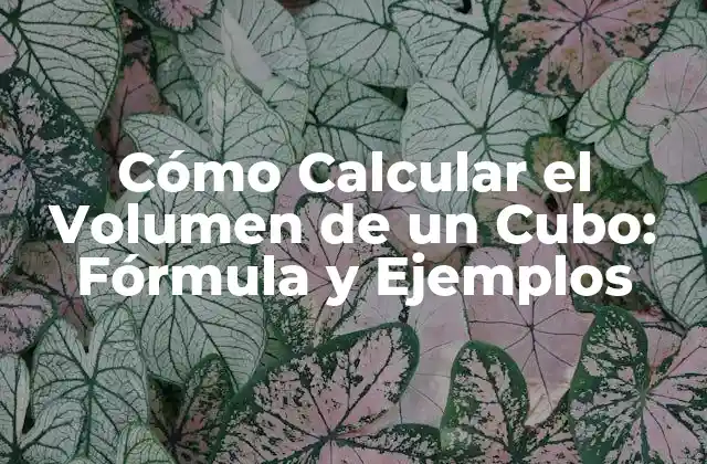 Cómo Calcular el Volumen de un Cubo: Fórmula y Ejemplos