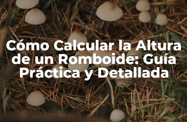 Cómo Calcular la Altura de un Romboide: Guía Práctica y Detallada