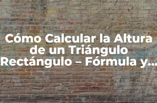 Cómo Calcular la Altura de un Triángulo Rectángulo – Fórmula y Ejemplos