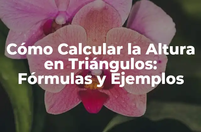 Cómo Calcular la Altura en Triángulos: Fórmulas y Ejemplos