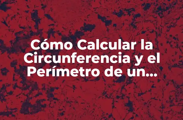 Cómo Calcular la Circunferencia y el Perímetro de un Círculo con la Fórmula Correcta