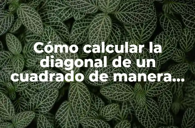 Cómo Calcular la Diagonal de un Cuadrado de Manera Sencilla