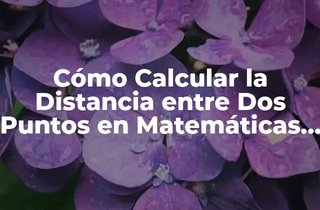 Cómo Calcular la Distancia entre Dos Puntos en Matemáticas y Geografía