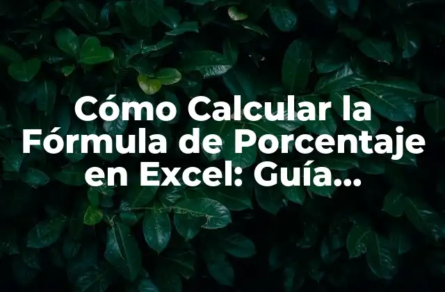 Cómo Calcular la Fórmula de Porcentaje en Excel: Guía Completa