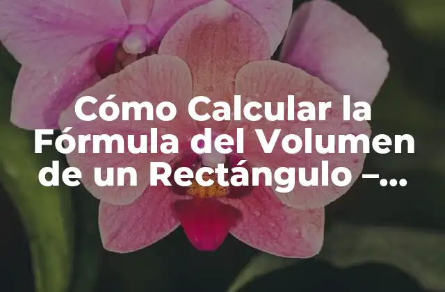 Cómo Calcular la Fórmula Del Volumen de un Rectángulo – una Guía Completa