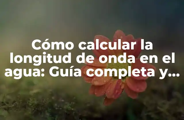 Cómo Calcular la Longitud de Onda en el Agua: Guía Completa y Detallada