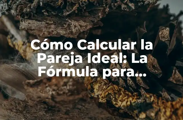 Cómo Calcular la Pareja Ideal: la Fórmula para Encontrar Al Amor