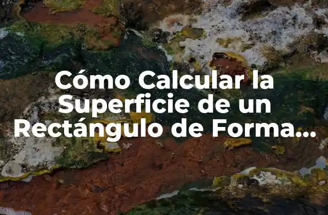 Cómo Calcular la Superficie de un Rectángulo de Forma Fácil