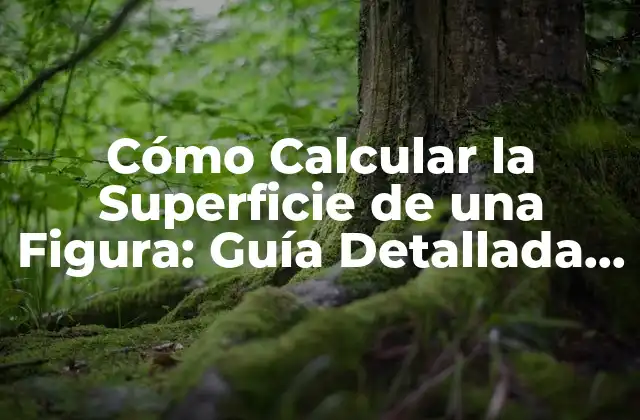 Cómo Calcular la Superficie de una Figura: Guía Detallada y Completa