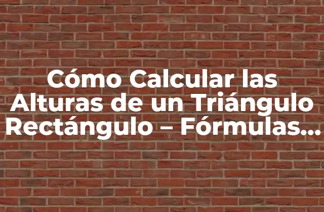 Cómo Calcular las Alturas de un Triángulo Rectángulo – Fórmulas y Ejemplos