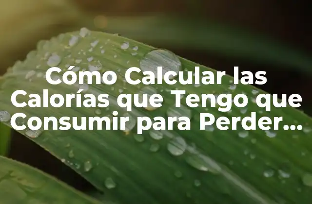 Cómo Calcular las Calorías que Tengo que Consumir para Perder Peso