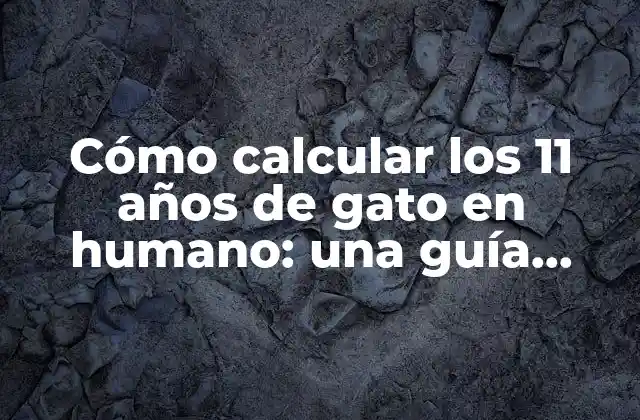 Cómo Calcular los 11 Años de Gato en Humano: una Guía Detallada