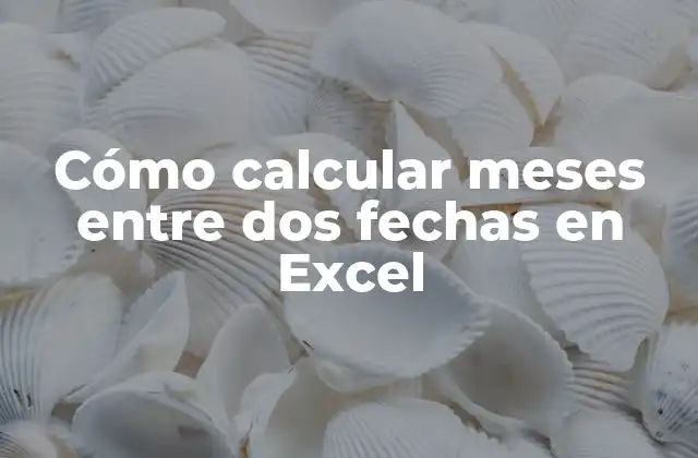 Cómo Calcular Meses entre Dos Fechas en Excel