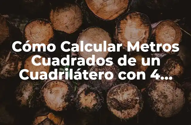 Cómo Calcular Metros Cuadrados de un Cuadrilátero con 4 Lados Diferentes