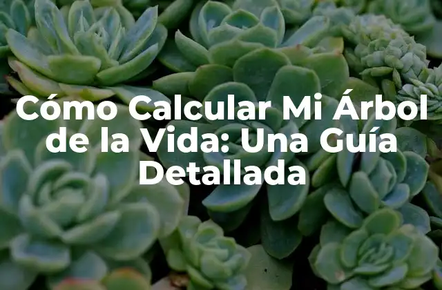 Cómo Calcular Mi Árbol de la Vida: una Guía Detallada