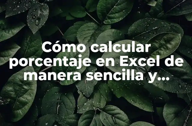 Cómo Calcular Porcentaje en Excel de Manera Sencilla y Precisa