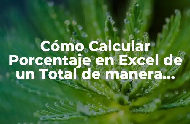 Cómo Calcular Porcentaje en Excel de un Total de Manera Fácil y Rápida