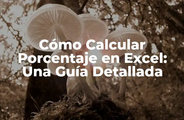 Cómo Calcular Porcentaje en Excel: una Guía Detallada