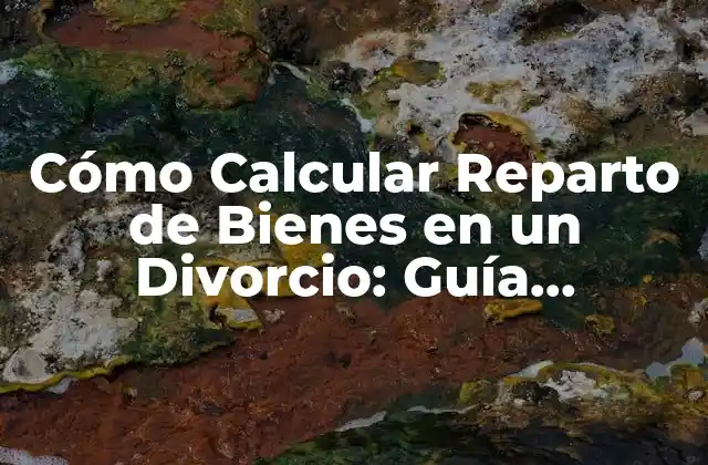 Cómo Calcular Reparto de Bienes en un Divorcio: Guía Detallada y Actualizada