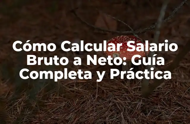 Cómo Calcular Salario Bruto a Neto: Guía Completa y Práctica