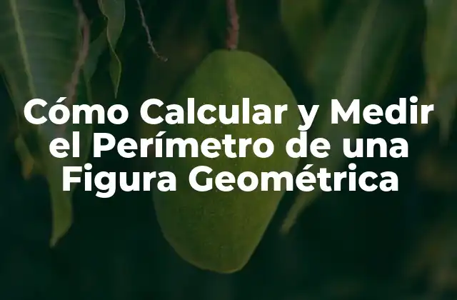 Cómo Calcular y Medir el Perímetro de una Figura Geométrica
