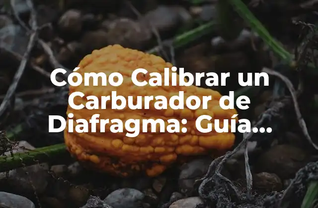 Cómo Calibrar un Carburador de Diafragma: Guía Completa