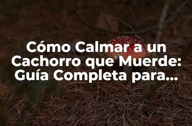 Cómo Calmar a un Cachorro que Muerde: Guía Completa para Padres de Perros