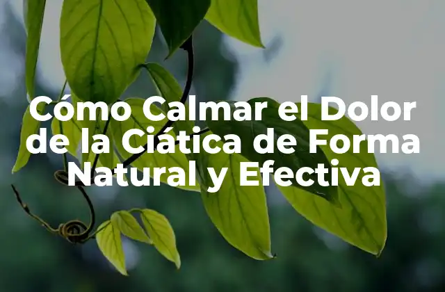 Cómo Calmar el Dolor de la Ciática de Forma Natural y Efectiva