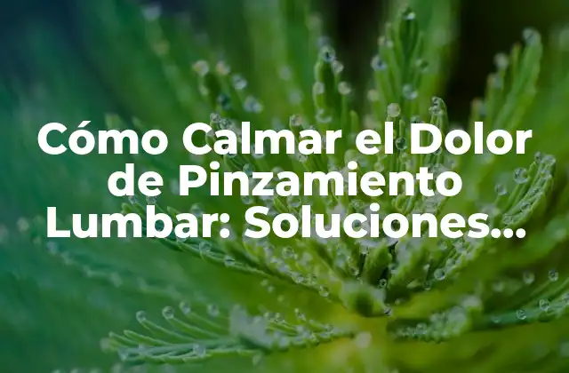 ¿Cuáles son las Causas del Dolor de Pinzamiento Lumbar?