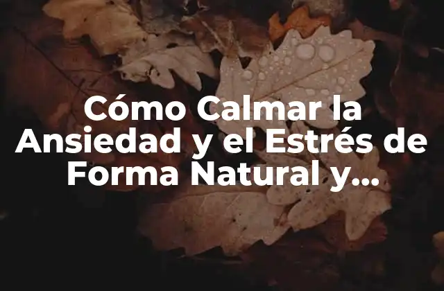 Cómo Calmar la Ansiedad y el Estrés de Forma Natural y Efectiva