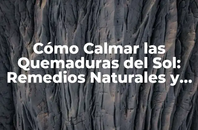 Cómo Calmar las Quemaduras Del Sol: Remedios Naturales y Consejos Útiles