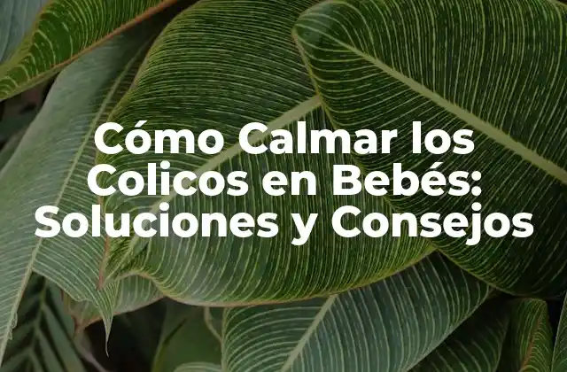 Cómo Calmar los Colicos en Bebés: Soluciones y Consejos 2 ¿Qué Son los Colicos en Bebés?