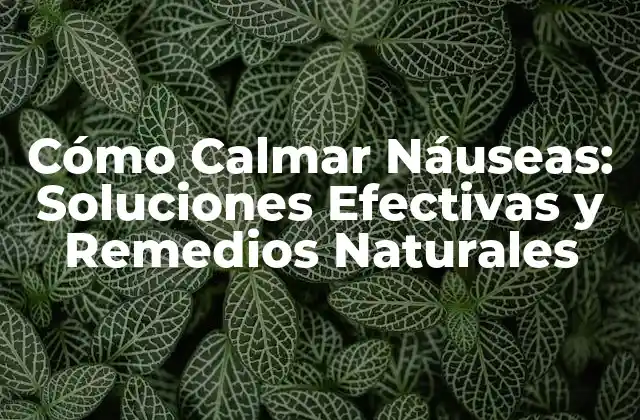 Cómo Calmar Náuseas: Soluciones Efectivas y Remedios Naturales 2 Causas Comunes de la Náusea