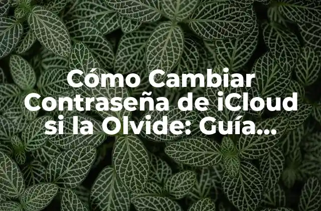 Cómo Cambiar Contraseña de Icloud Si la Olvide: Guía Completa
