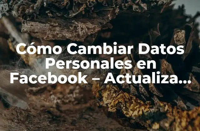 Cómo Cambiar Datos Personales en Facebook – Actualiza Tu Perfil Confacilidad